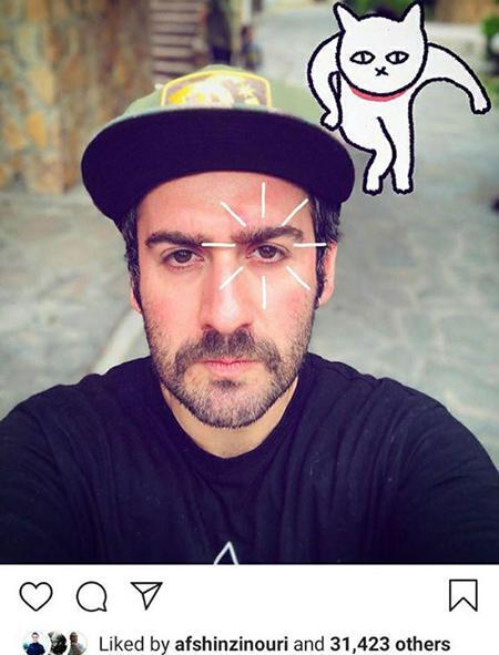 عکس استیکر گربه