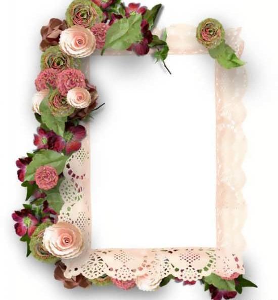 عکس گل حاشیه دار