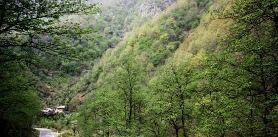 عکس منظره شمال ایران