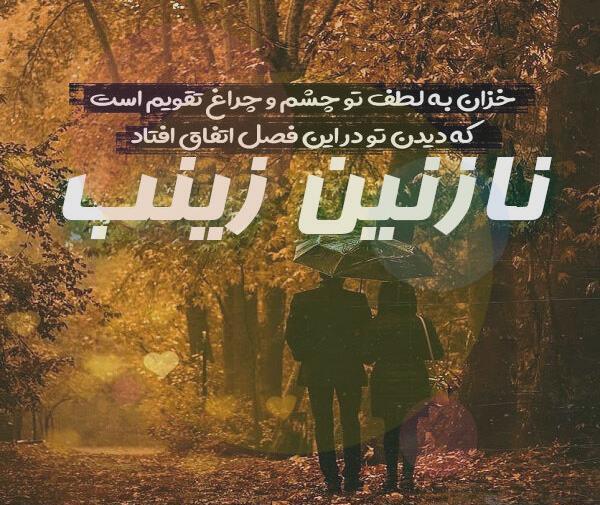عکس نوشته اسم نازنین زینب