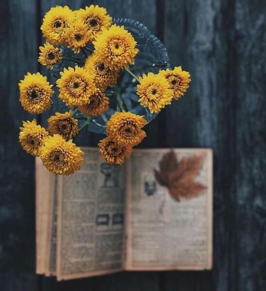 عکس های زیبا و قشنگ برای واتساپ