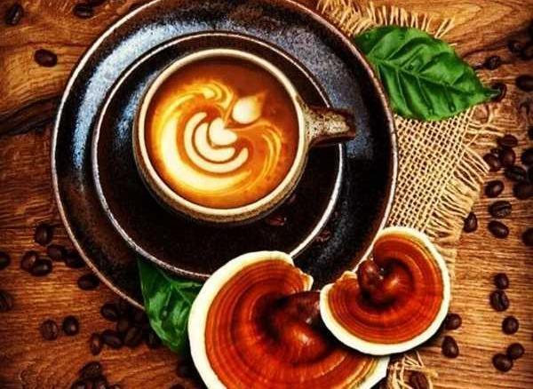 عکس قهوه ی گانودرما