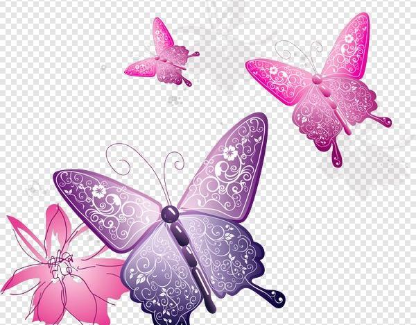 عکس پروانه صورتی کمرنگ