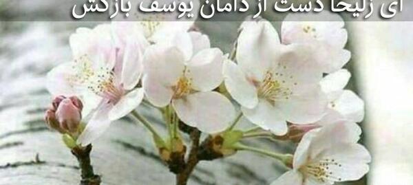 عکس نوشته ای زلیخا دست از دامان یوسف بازکش