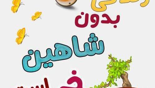 عکس نوشته شاهین