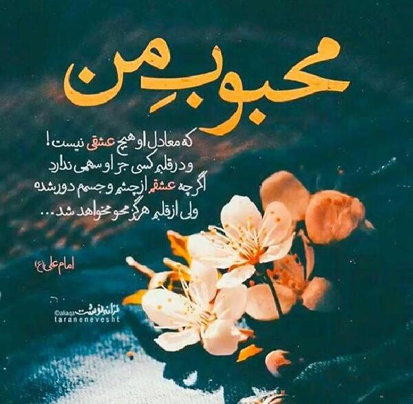 عکس نوشته علی من