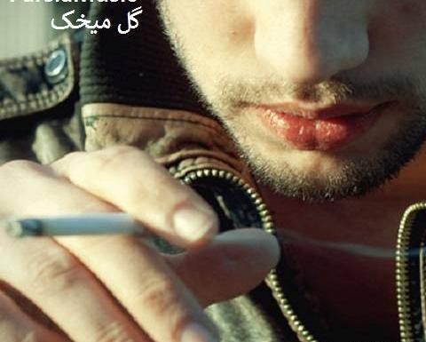 عکس جواد شیروانی