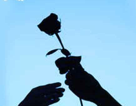 عکس جواد شیروانی