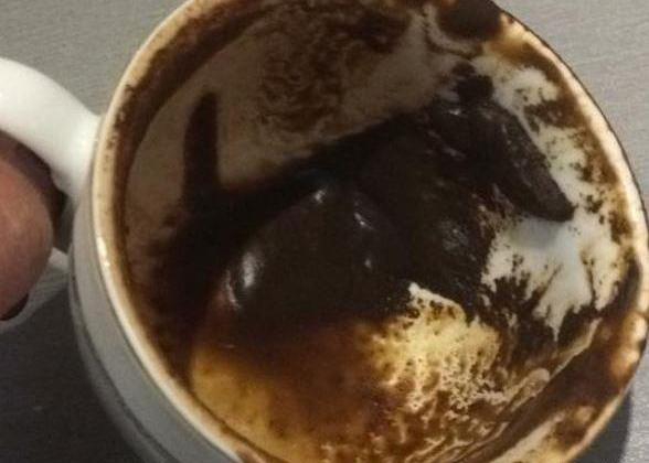عکس گرگ در فال قهوه