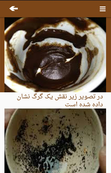 عکس گرگ در فال قهوه