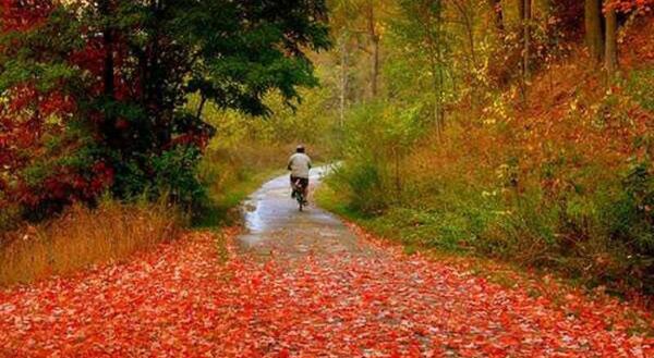 عکس هوایی جاده توسکستان