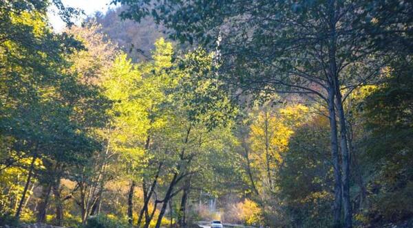 عکس هوایی جاده توسکستان
