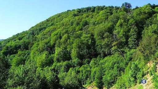 عکس هوایی جاده توسکستان