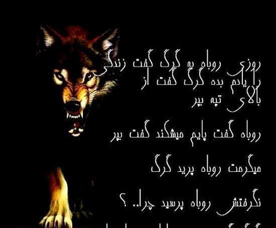 عکس لاتی گرگی