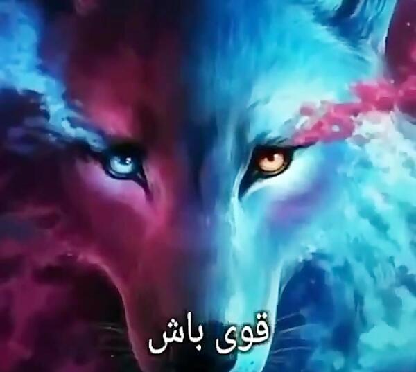 عکس لاتی گرگی