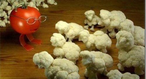 عکس های جالب و شگفت انگیز