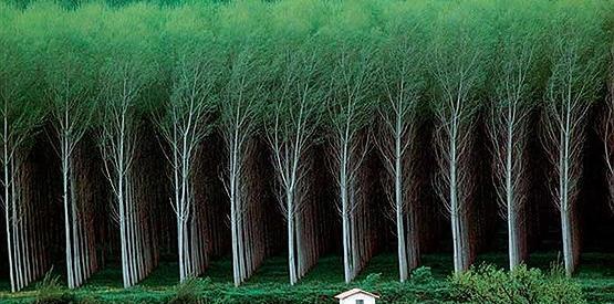 عکس های جالب و شگفت انگیز