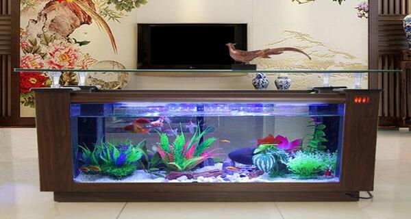 عکس ایده برای طراحی اکواریوم