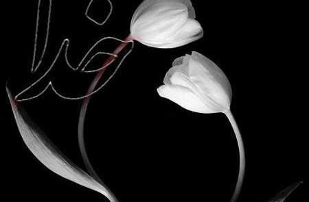 عکس نوشته خدا زمینه مشکی