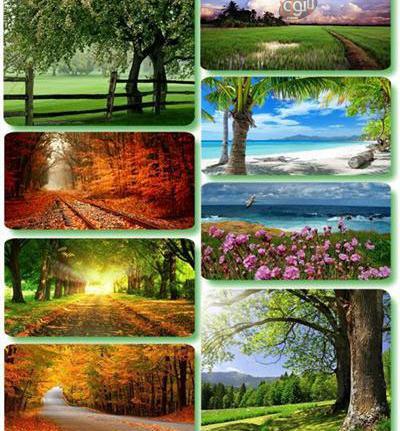 عکس از طبیعت برای تصویر زمینه