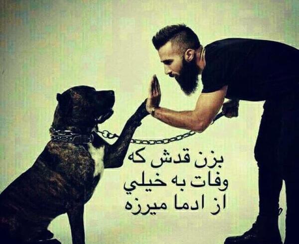 عکس پروفایل پسرانه سگ