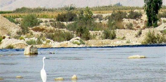 عکس از طبیعت فهلیان