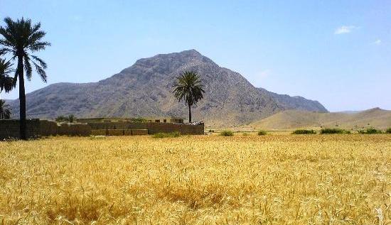 عکس از طبیعت فهلیان