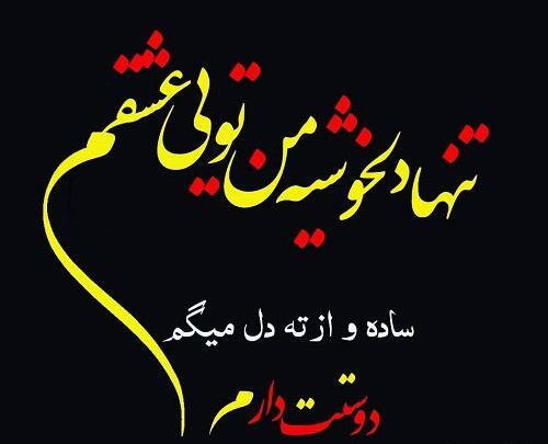 عکس نوشته دوست دارم عشقمی