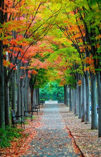 عکس های زیبا طبیعت برای پس زمینه گوشی