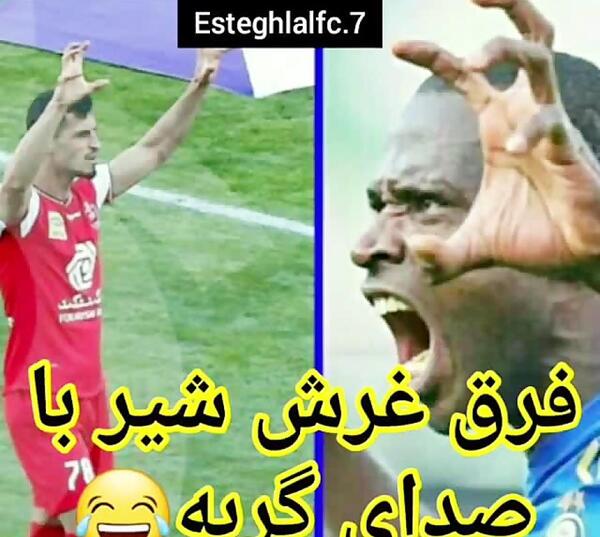 عکس شیر استقلال