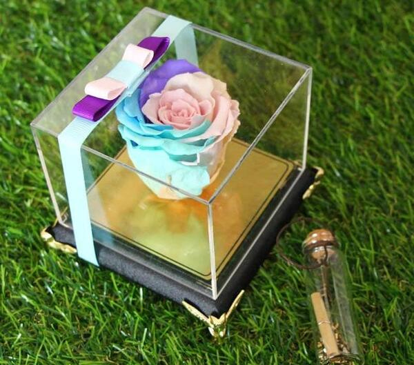 عکس گل رز رنگین کمانی