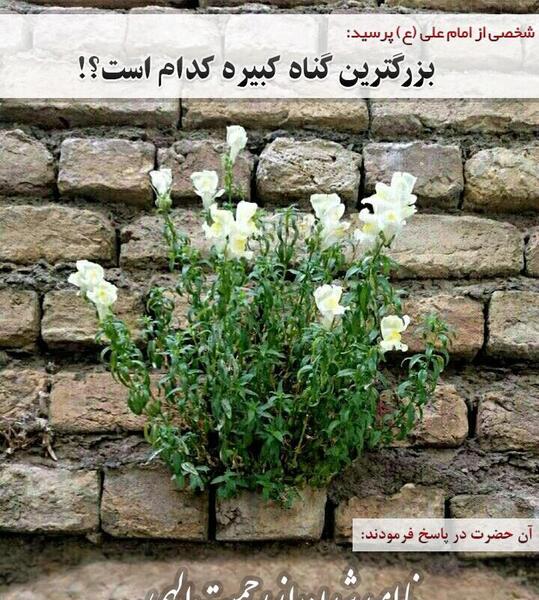 عکس خدایا ناامیدمون نکن