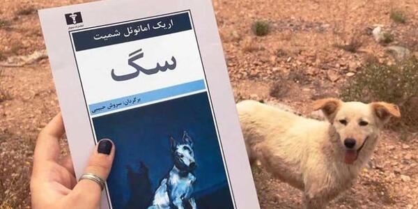 عکس رمانتیک سگ