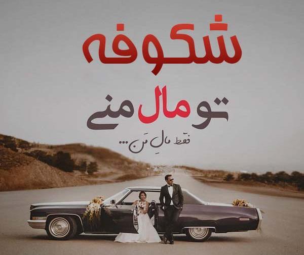 عکس نوشته علی و شکوفه