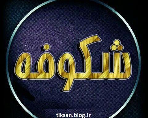 عکس نوشته علی و شکوفه