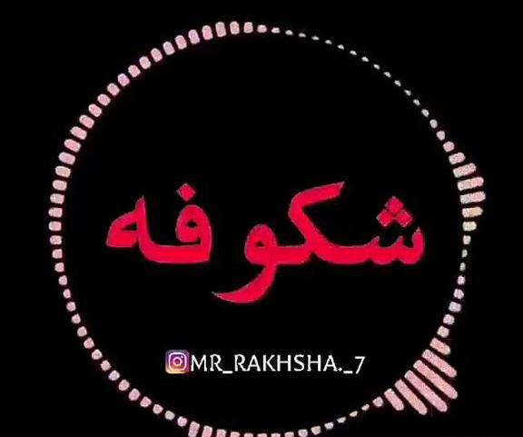 عکس نوشته علی و شکوفه
