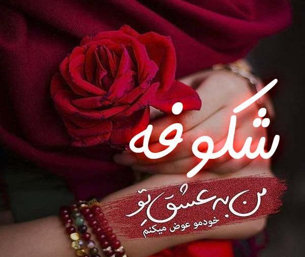 عکس نوشته علی و شکوفه