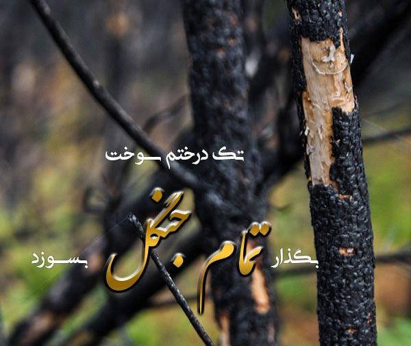 عکس نوشته زیبا ارزو
