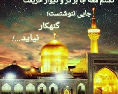 عکس حرم امام رضا متن دار
