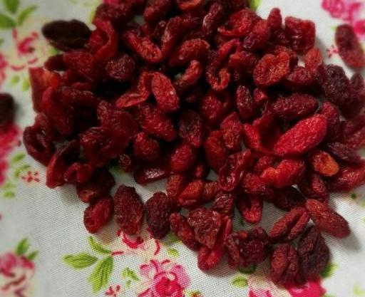 عکس تصویر زغال اخته خشک