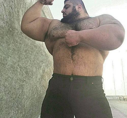 عکس واقعی سجاد غریبی