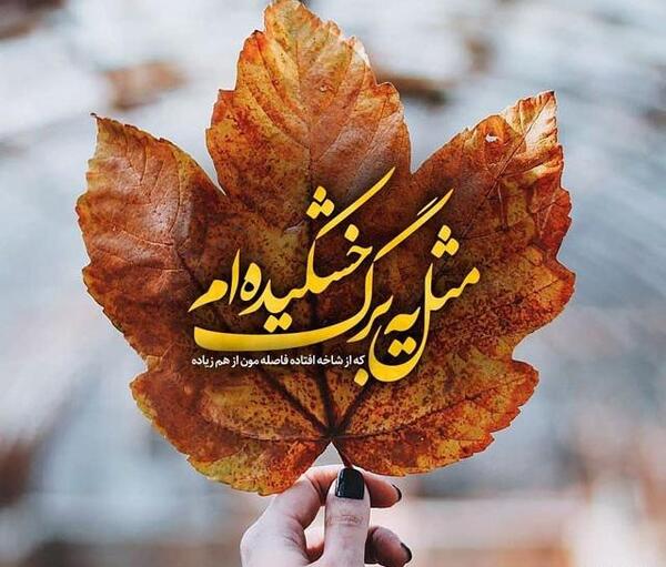 عکس غمگین بدون متن پاییزی