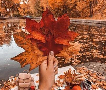 عکس غمگین بدون متن پاییزی