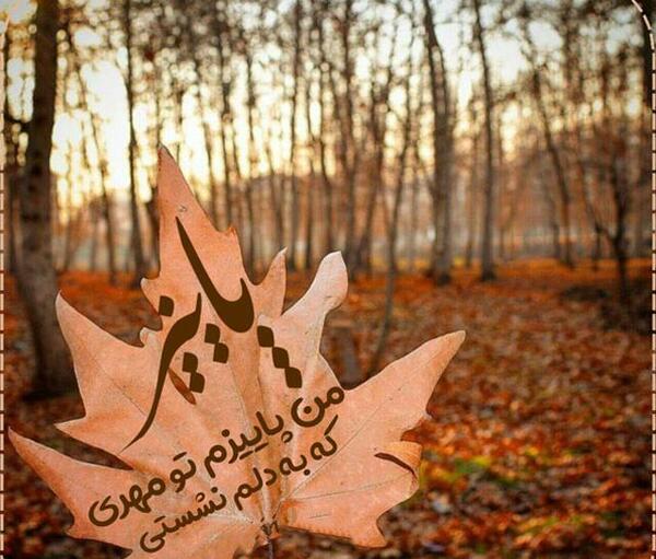 عکس غمگین بدون متن پاییزی