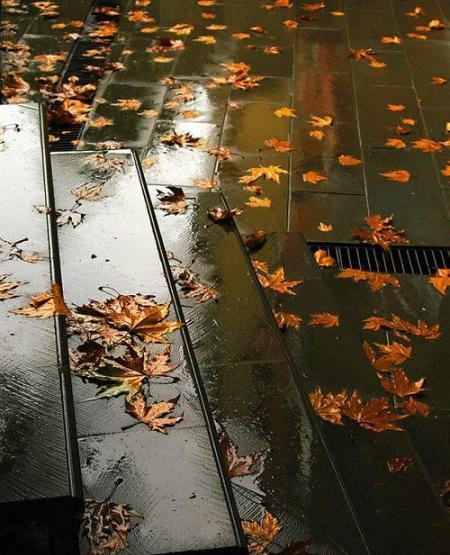 عکس غمگین بدون متن پاییزی