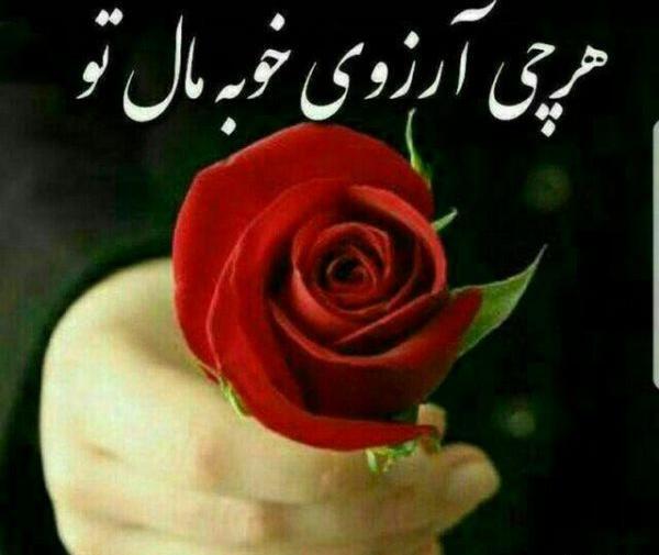 عکسهای گل آرزو