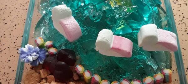 عکس ژله حیوانات
