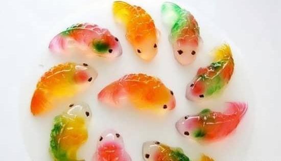 عکس ژله حیوانات