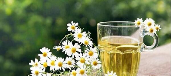 عکس چای خشک بابونه