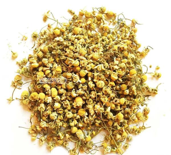 عکس چای خشک بابونه